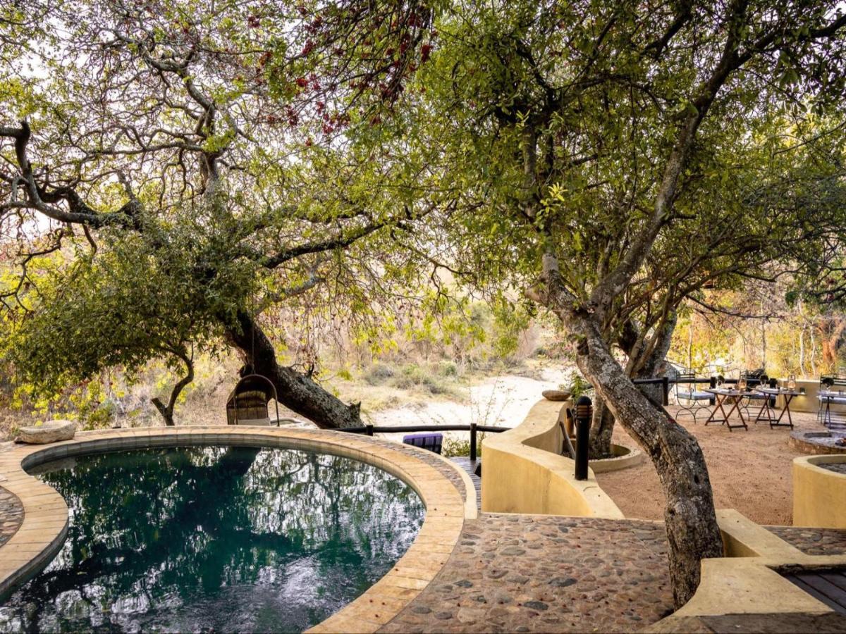 הודספרויט Shimungwe Lodge, Thornybush Game Reserve מראה חיצוני תמונה